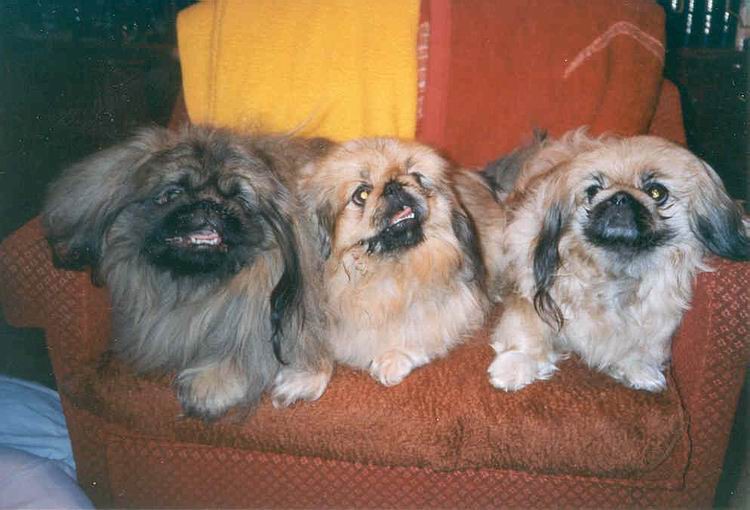 Popis: Harry, Alf a Peggy  